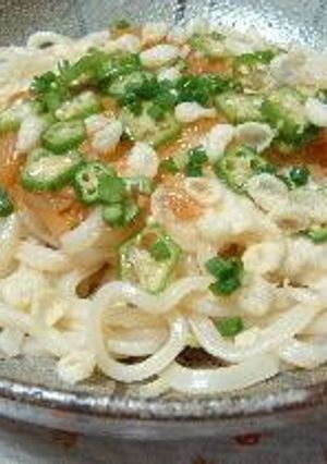 おくらトロロうどん～今日の昼ごはん～-レシピのメイン写真