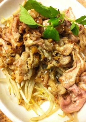豚もやし炒めハニーニンニク醤油(･_･)-レシピのメイン写真