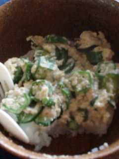 離乳食完了期・オクラときゅうりの白和え丼-レシピのメイン写真