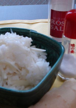 炊きたてご飯にまぜるだけ新生姜飯-レシピのメイン写真