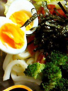 さっぱりサラダうどん-レシピのメイン写真