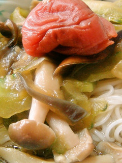 ゴーヤと梅干しのぶっかけそうめん-レシピのメイン写真