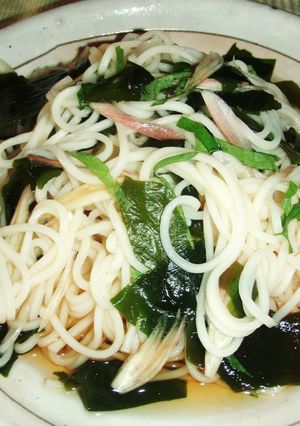 大人味のヘルシーそうめん☆ミ-レシピのメイン写真