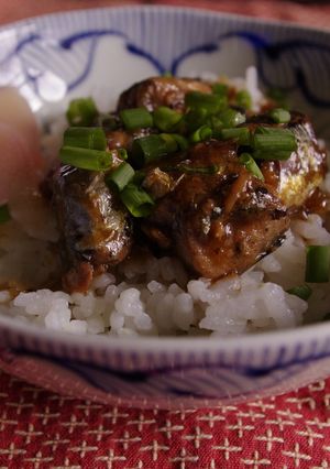 ストック缶で簡単どんぶり-レシピのメイン写真