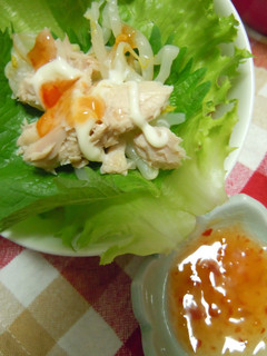 野菜だけでも十分生春巻き。。☆-レシピのメイン写真