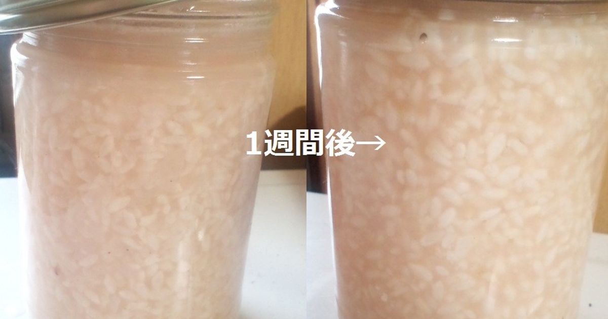 麹作り箱　数回使用 蓋麹法 | 灘の酒用語集