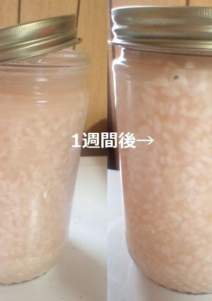 500g瓶を使って簡単♪話題の塩麹作り-レシピのメイン写真