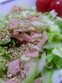 さっぱり美味しい中華サラダ-レシピのメイン写真