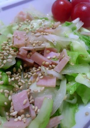 さっぱり美味しい中華サラダ-レシピのメイン写真