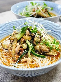 梅と野菜~スタミナぶっかけ素麺-レシピのメイン写真