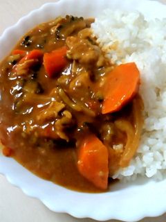ゴーヤとトマトのカレー-レシピのメイン写真