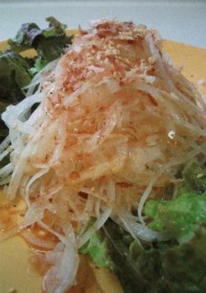 夏のオニオンサラダ-レシピのメイン写真