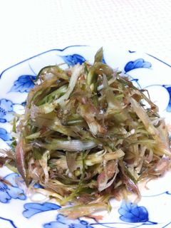 みょうがサラダ-レシピのメイン写真