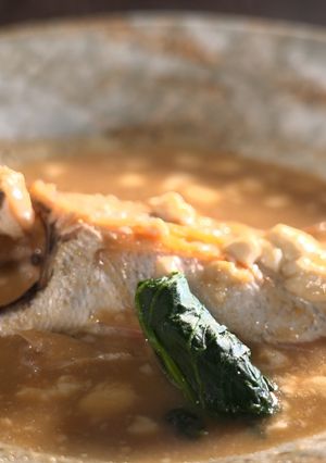ノドグロの爽やか味噌煮【食遺産】-レシピのメイン写真