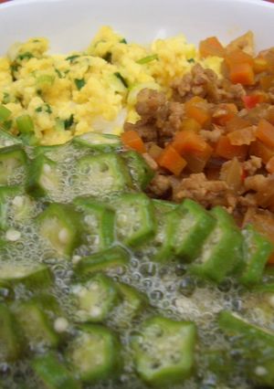 ネバネバオクラの三色丼-レシピのメイン写真