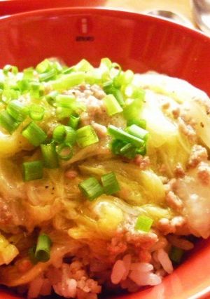 ひき肉と白菜の中華風丼-レシピのメイン写真
