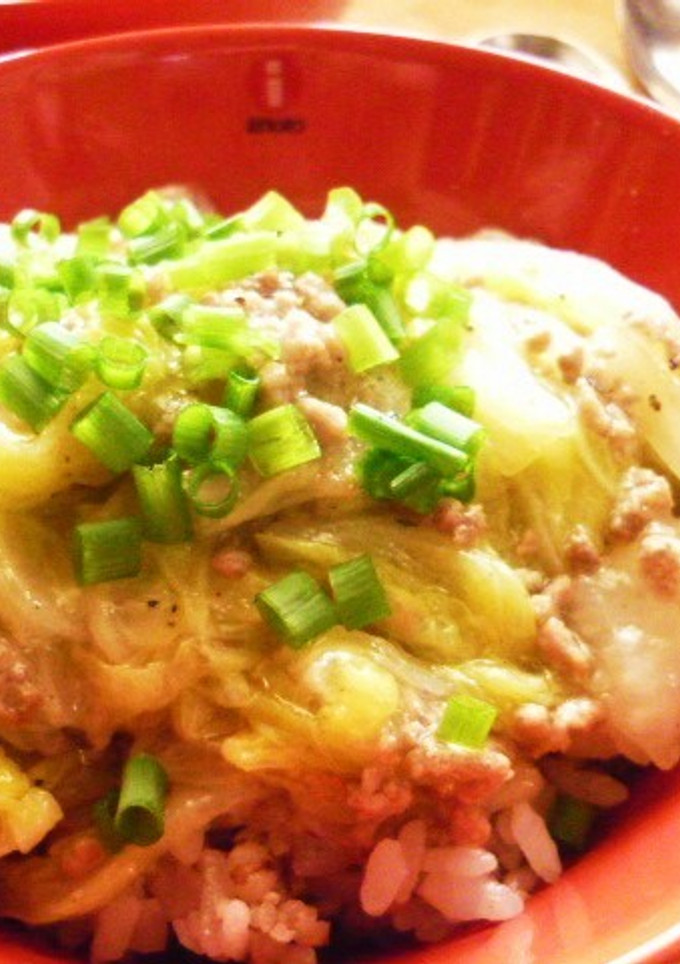 ひき肉と白菜の中華風丼-レシピのメイン写真