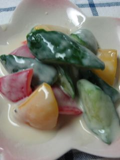 ヨーグルトとみそのお漬物-レシピのメイン写真