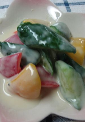 ヨーグルトとみそのお漬物-レシピのメイン写真