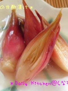 色鮮やか*みょうがの甘酢漬け*-レシピのメイン写真