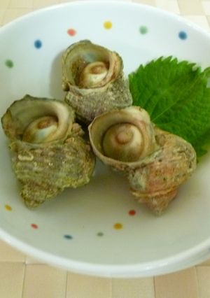 グリルで焼くさざえの壺焼き-レシピのメイン写真