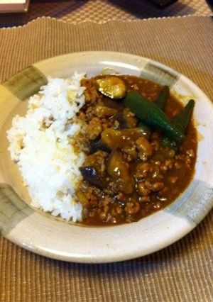 夏メニュー☆ナスとオクラのひき肉カレー-レシピのメイン写真