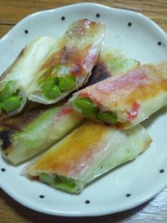 アスパラチーズ春巻-レシピのメイン写真