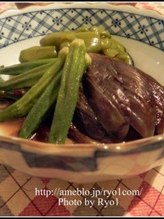 夏野菜の煮びたし-レシピのメイン写真