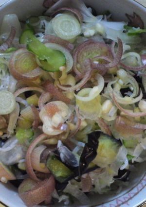 夏野菜の簡単塩揉み-レシピのメイン写真