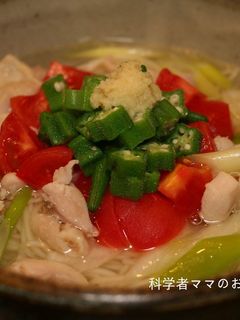 疲れが取れるオクラのあっさりにゅうめん-レシピのメイン写真