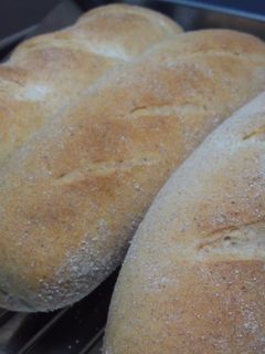 簡単♪手ごねフランスパン風チョコパン-レシピのメイン写真