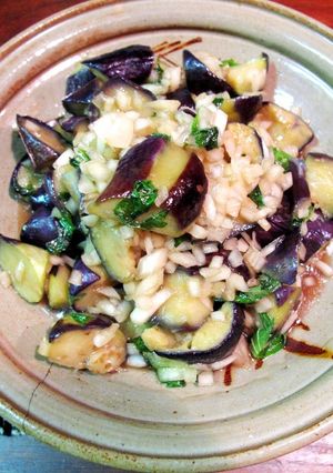 夏の美味おかず！☆揚げ茄子の煮浸し☆-レシピのメイン写真