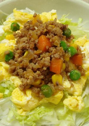 朝からガッツリ！ミンチ丼♪-レシピのメイン写真