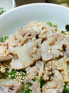 夏版!さっぱり豚丼☆-レシピのメイン写真