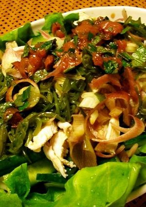 夏野菜と豆腐のサッパリ サラダ-レシピのメイン写真