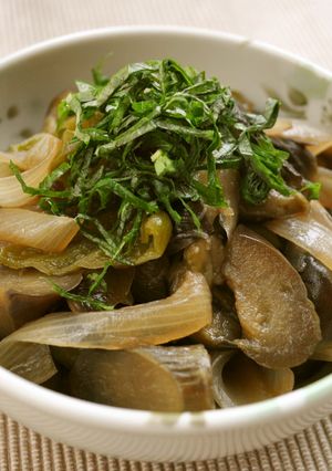 夏野菜の煮物✿なす・ピーマン・玉ねぎ✿-レシピのメイン写真