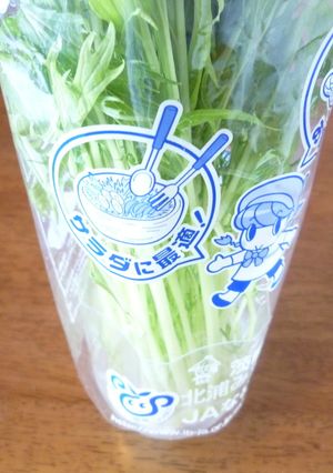 ☆水菜の保存☆-レシピのメイン写真