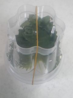 プリンカップで お手軽 しその保存方法-レシピのメイン写真