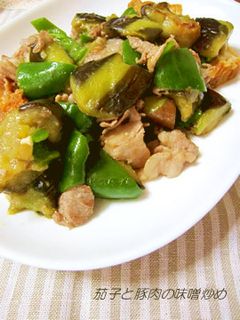 茄子と豚肉の味噌炒め-レシピのメイン写真