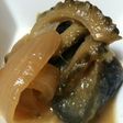 簡単ノンオイル♬ゴーヤと茄子の味噌煮