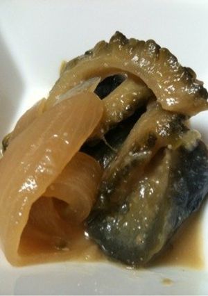 簡単ノンオイル♬ゴーヤと茄子の味噌煮-レシピのメイン写真