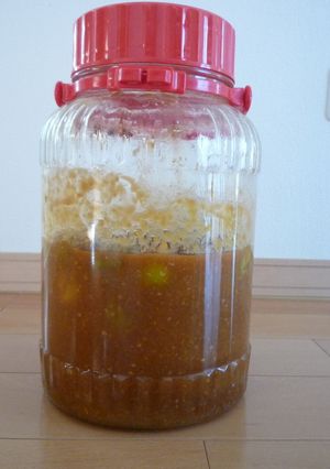 梅味噌-レシピのメイン写真