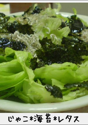簡単なのに豪華！じゃこ海苔レタスサラダ-レシピのメイン写真