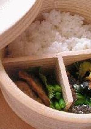 お弁当　2004.6.9-レシピのメイン写真