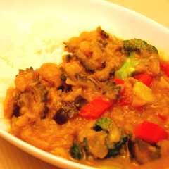 รูปของ ゴーヤと夏野菜のカレー