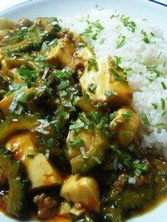 ゴーヤの麻婆カレー-レシピのメイン写真