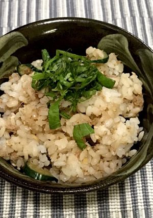 食欲がない夏に、なまり節ご飯♡-レシピのメイン写真