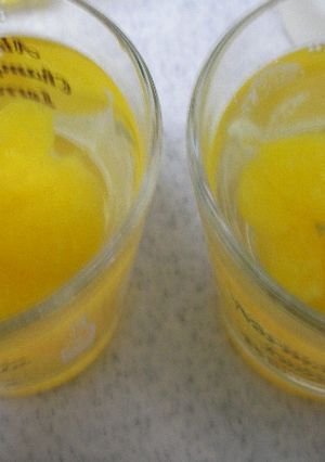みかんの缶詰で簡単ゼリー♪-レシピのメイン写真