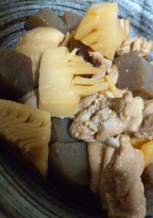 筍と鶏モモ肉とこんにゃくの煮物-レシピのメイン写真