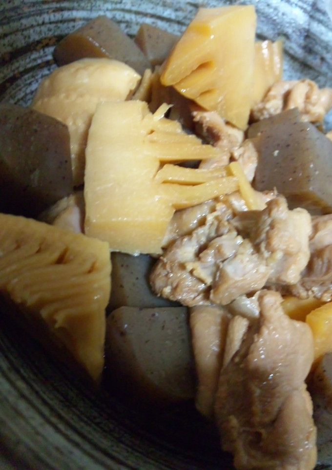 筍と鶏モモ肉とこんにゃくの煮物-レシピのメイン写真